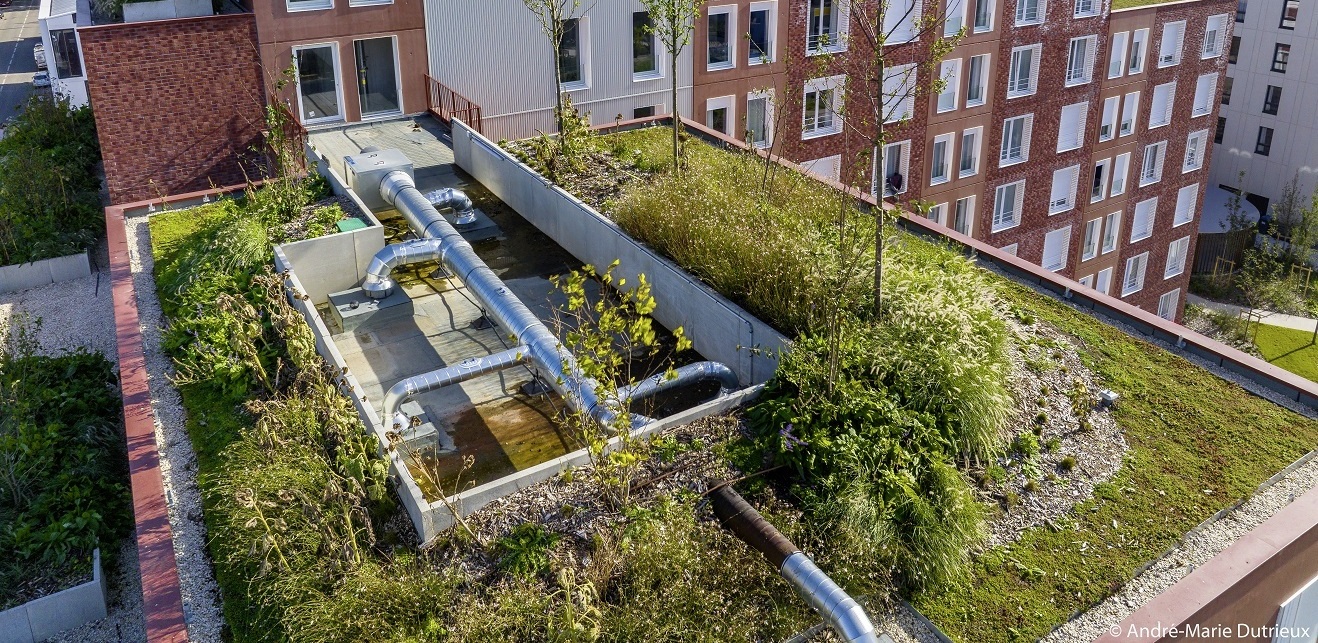 Les qualités des toitures-végétalisées en matière de rétention des eaux de pluies sont démontrées (ici à Villeneuve d'Ascq, la Maillerie).. 